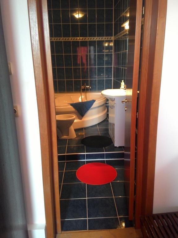 Casa Radu Snagov Ruang foto