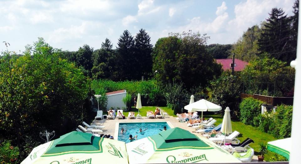 Casa Radu Snagov Bagian luar foto